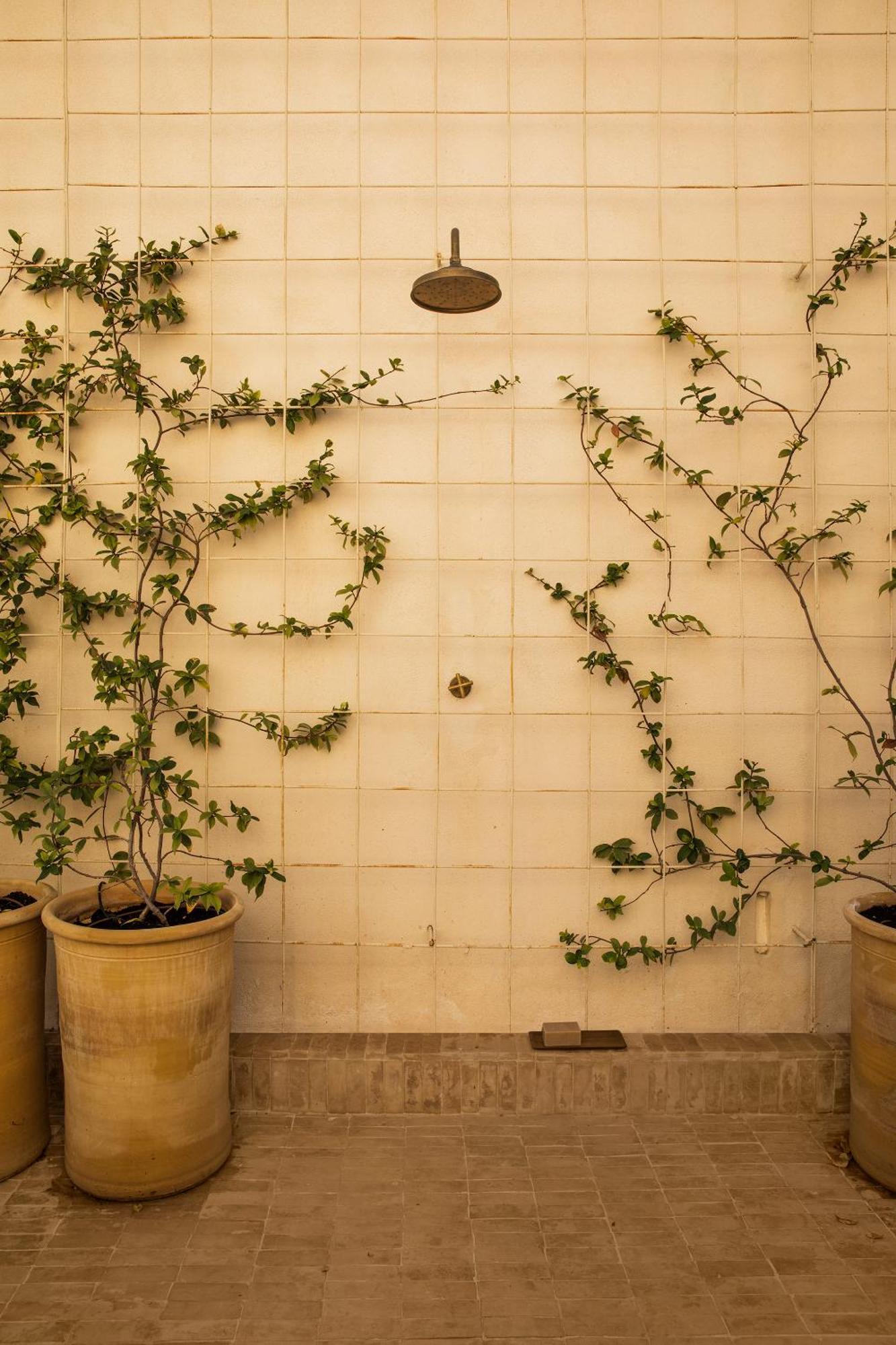 Boscos Apartments Sevilla Dış mekan fotoğraf