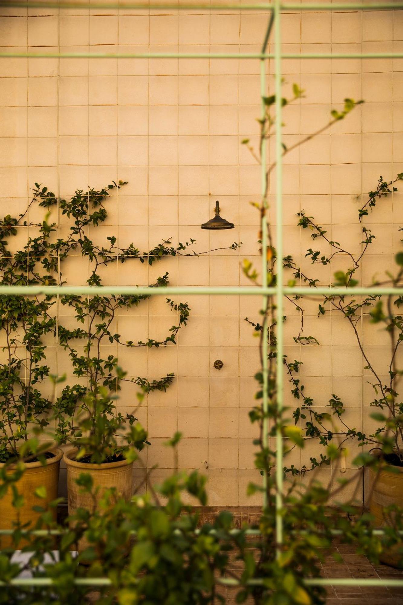 Boscos Apartments Sevilla Dış mekan fotoğraf